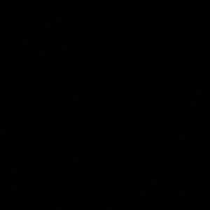 Meet your Posher, Maggie